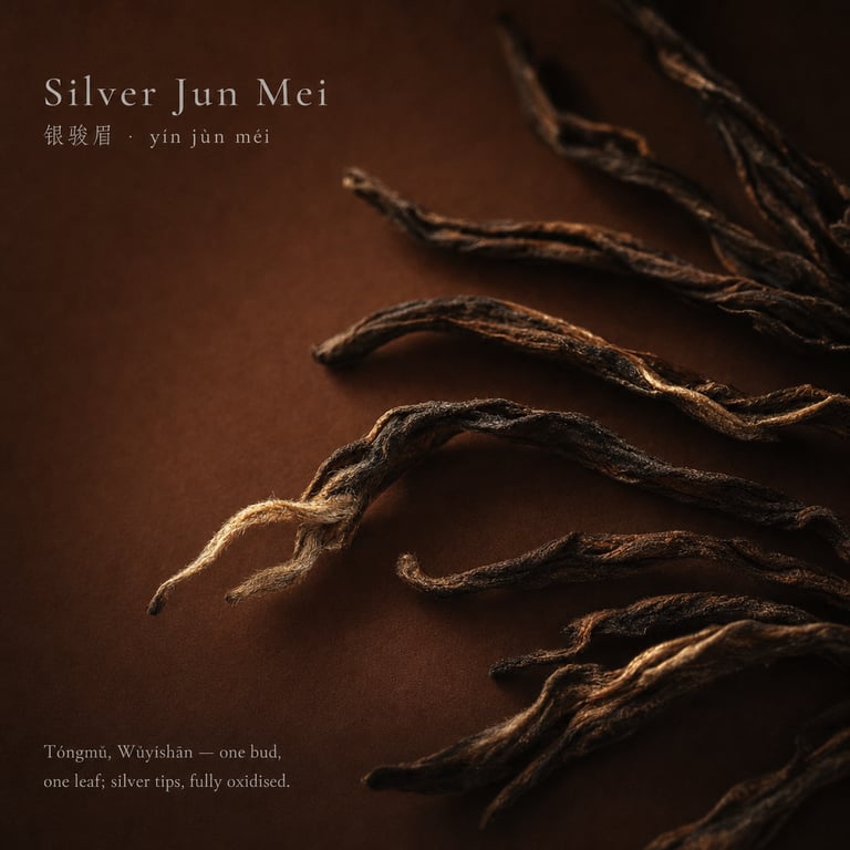 Yín Jùn Méi