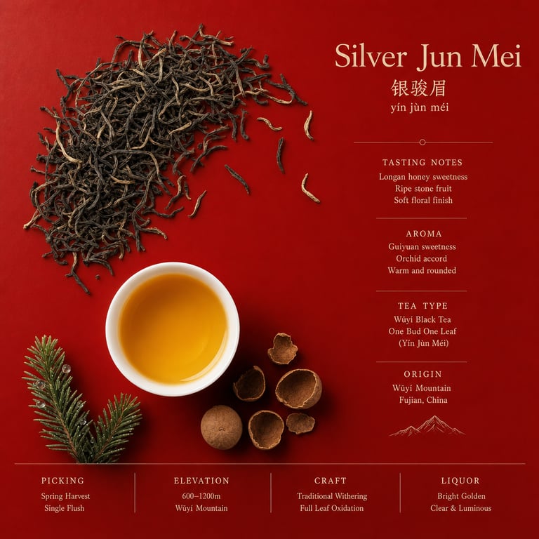 Yín Jùn Méi