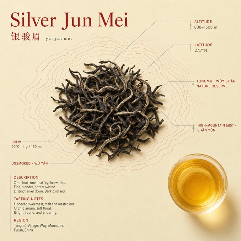 Yín Jùn Méi
