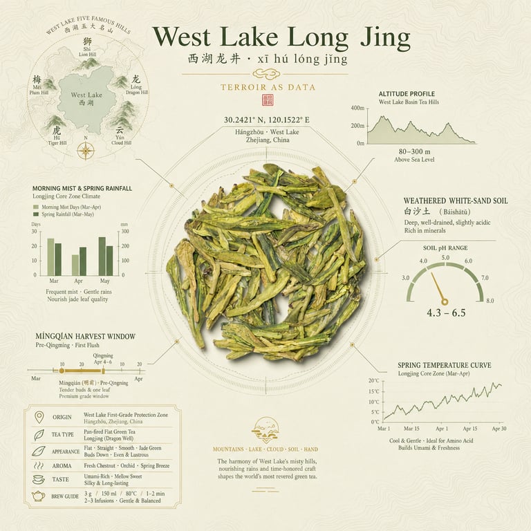 Tây Hồ Long Tỉnh