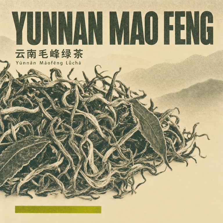 Trà xanh Mao Phong Vân Nam