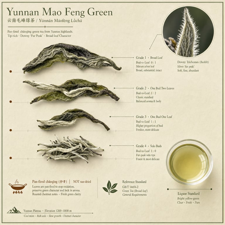Tiyi Wobiriwira wa Yunnan Mao Feng
