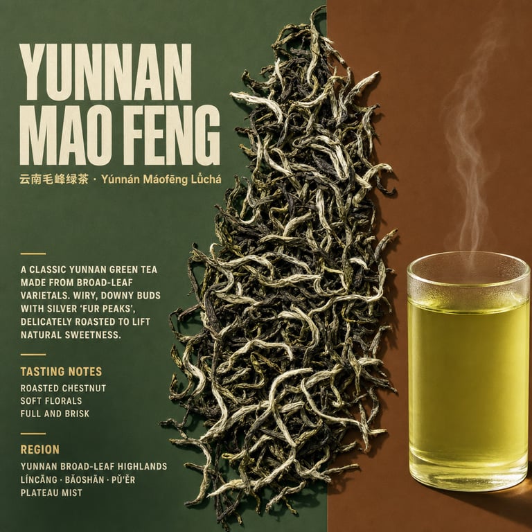 Yunnan Mao Feng Zielona Herbata